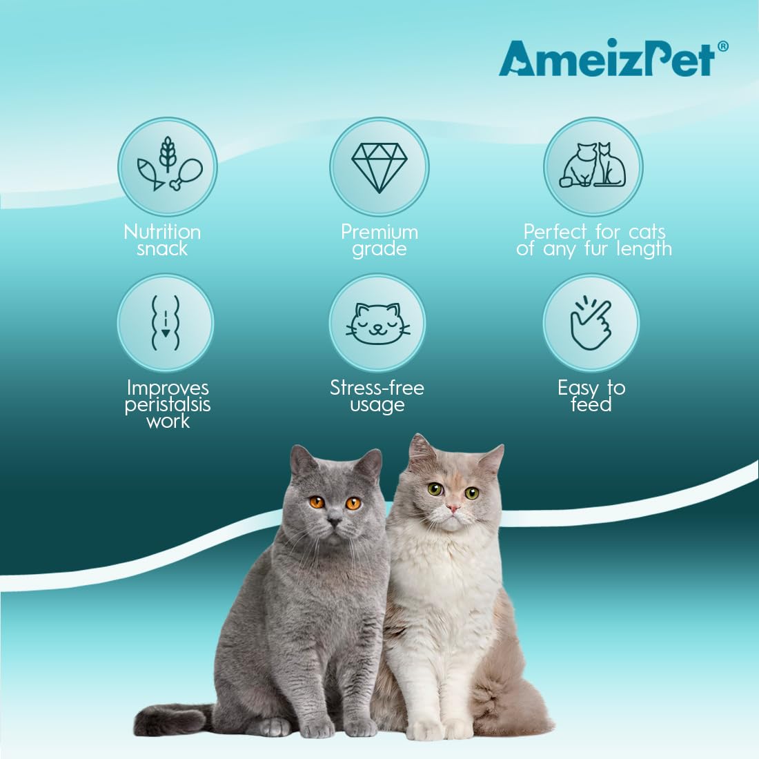 Anti Hairball Cat Biscuits 2.82 oz E262074
