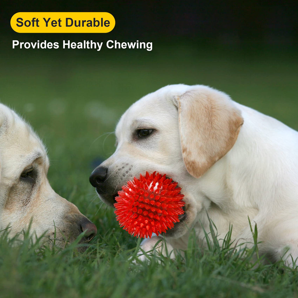 Squeaky Dog Toy Balls BPA Free Non-Toxic L23718