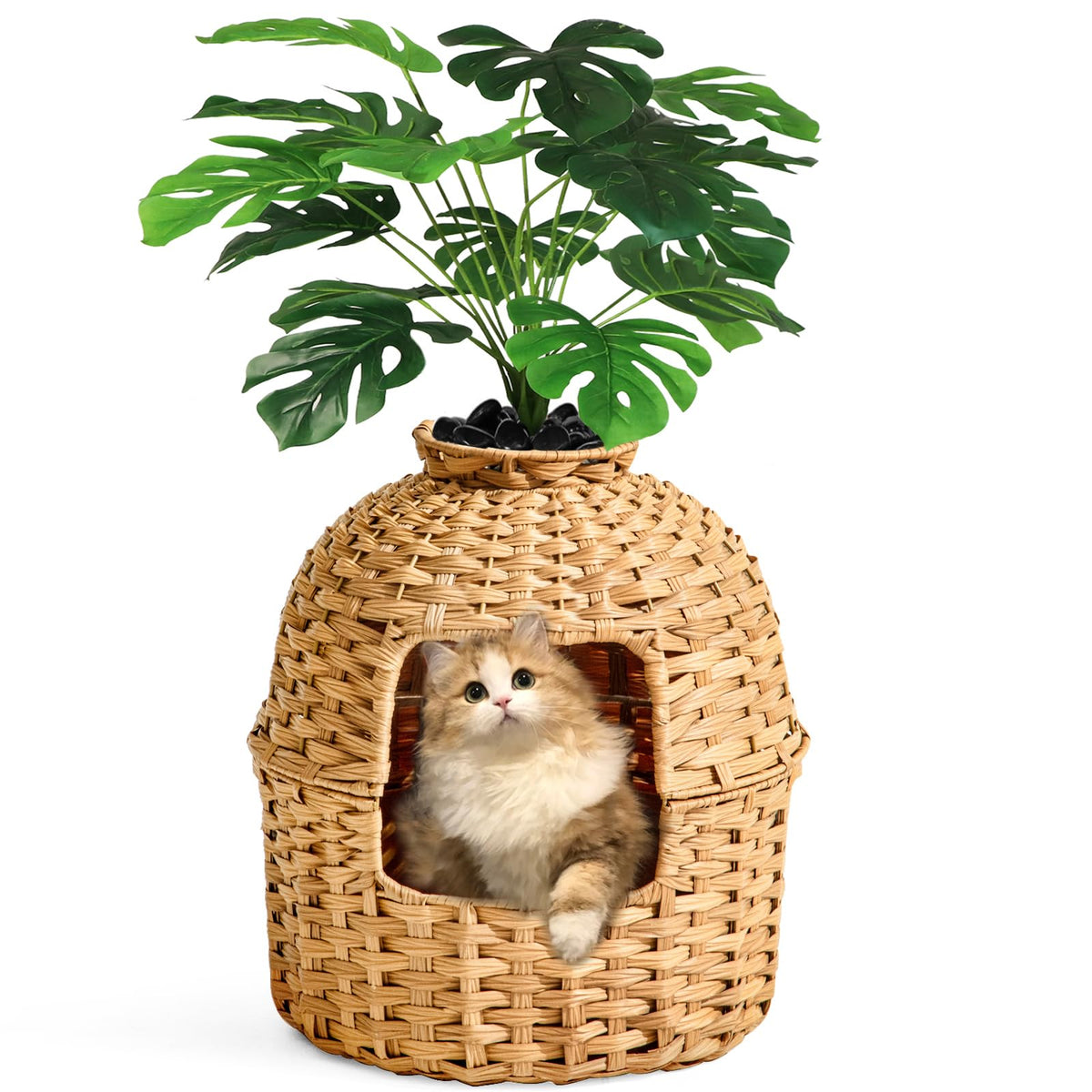 Cat Litter Box Enclosure D365