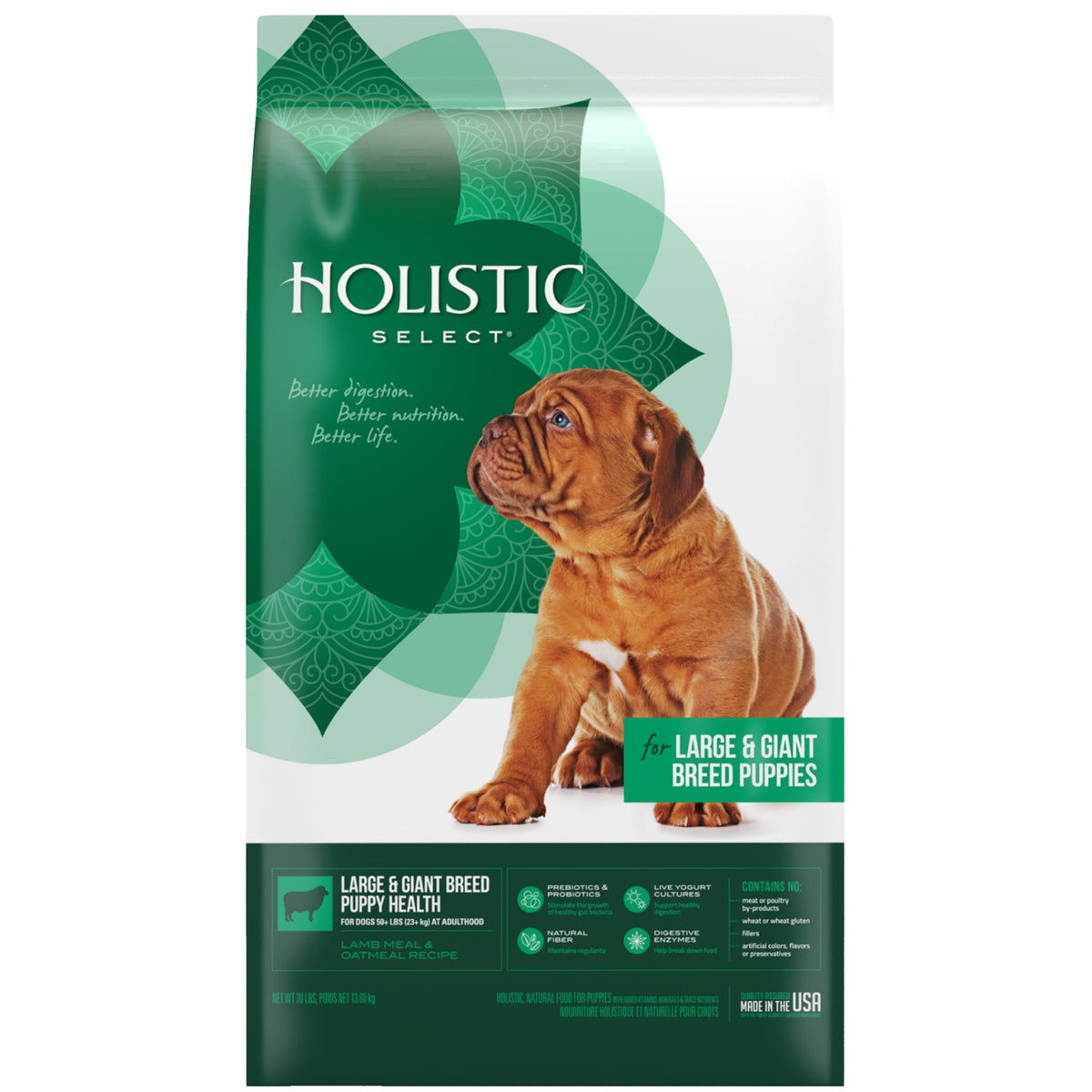 Natural Dry Dog Food Large Breed Puppy 30-Pound Bag M358