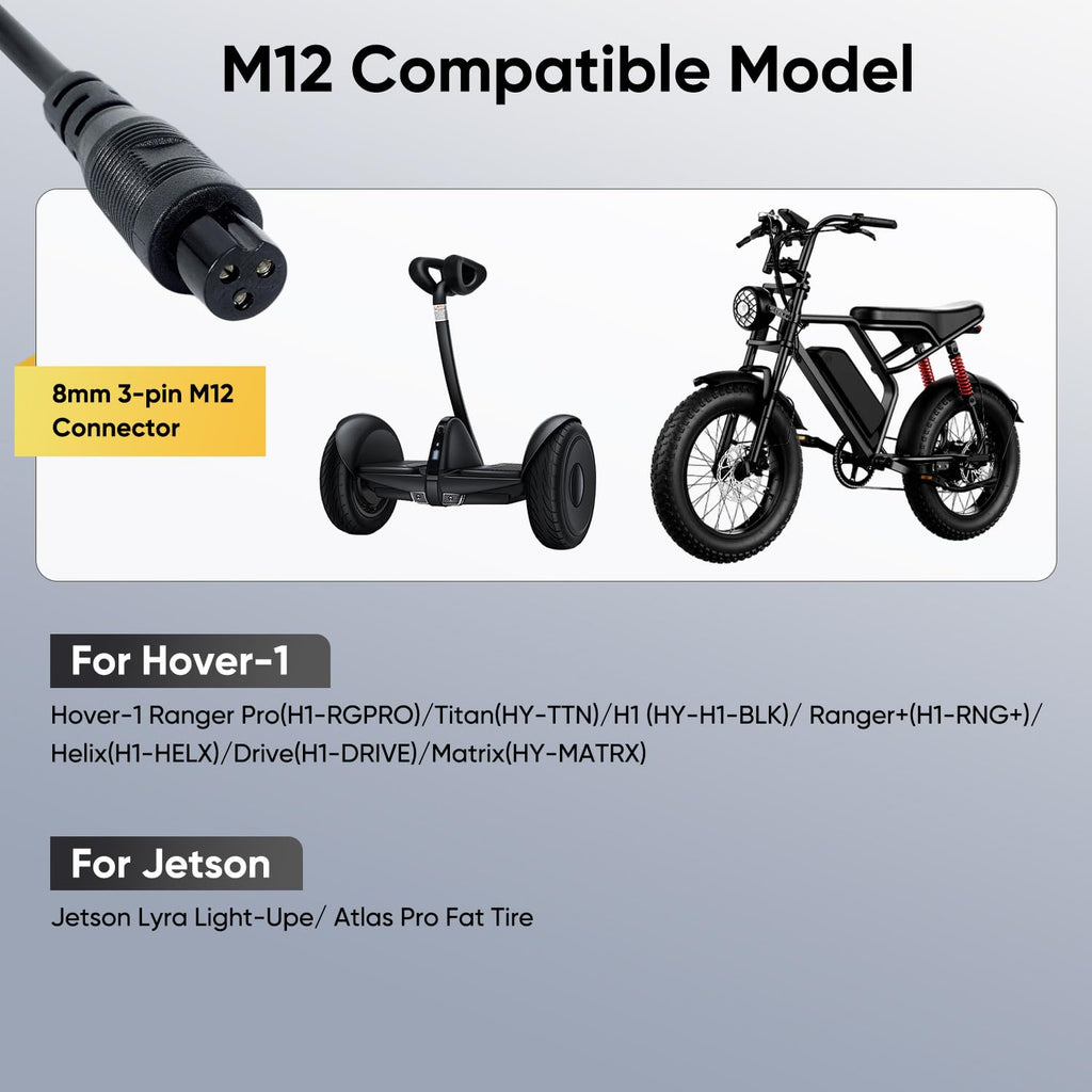 42V 2A Electric Scooter Charger D8879