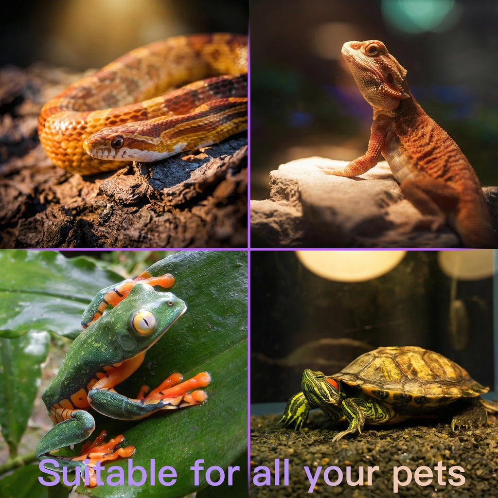 Reptile Heat Lamp Kit Y324284
