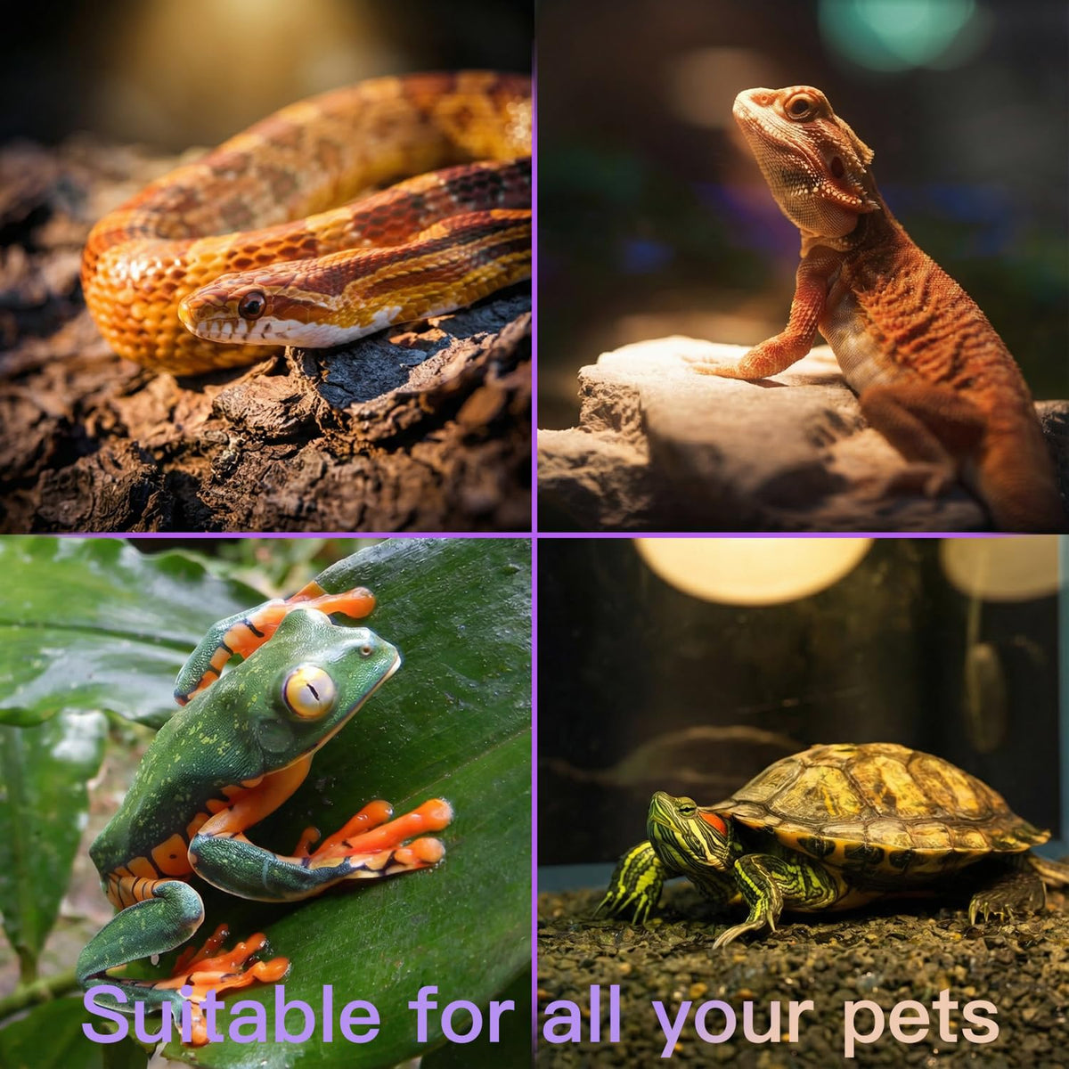 Reptile Heat Lamp Kit Y324284