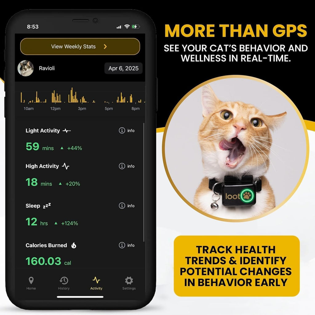 GPS Cat Tracker Collar D708201