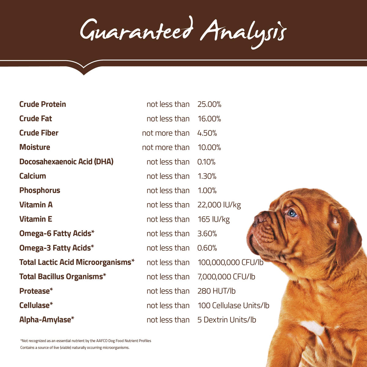 Natural Dry Dog Food Large Breed Puppy 30-Pound Bag M358