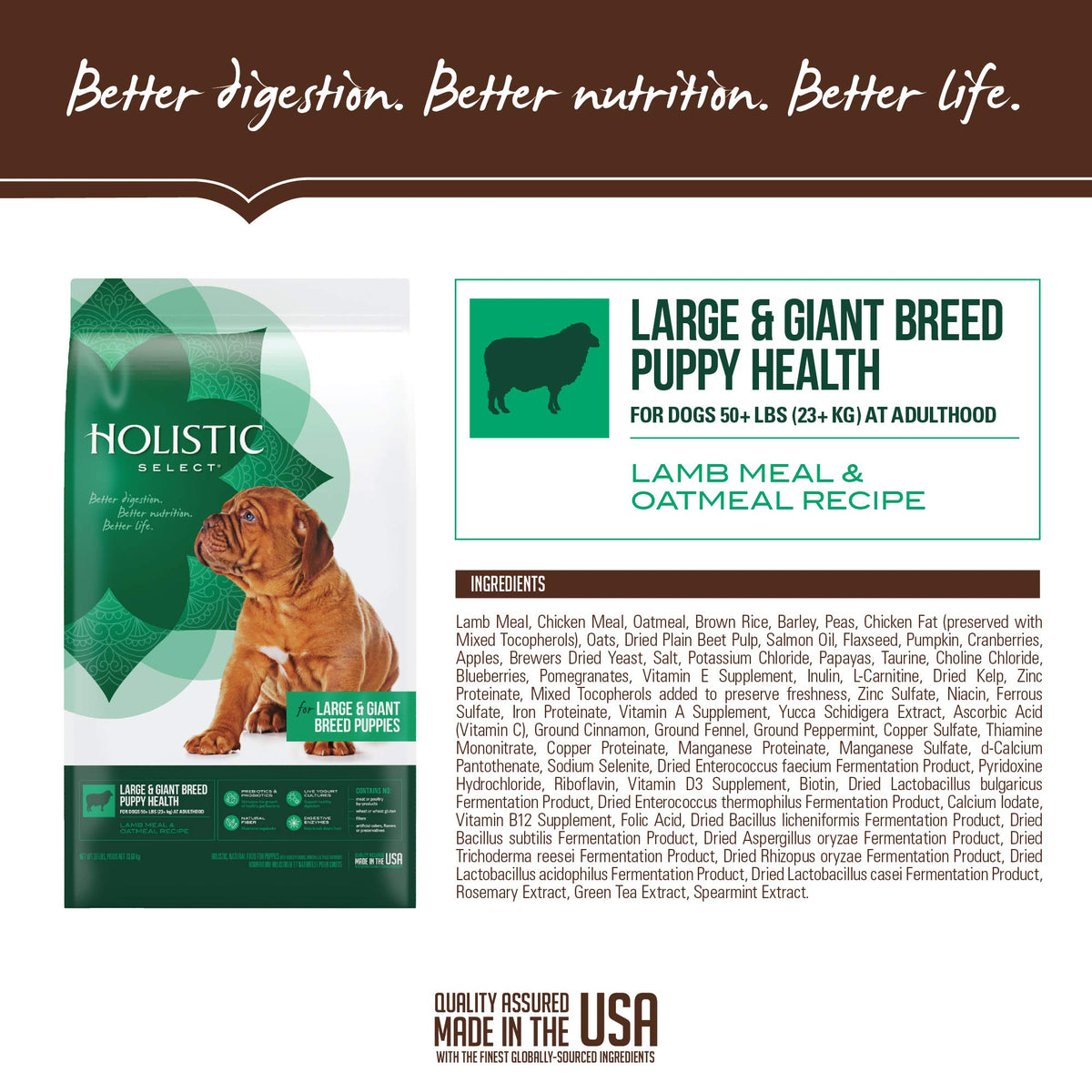 Natural Dry Dog Food Large Breed Puppy 30-Pound Bag M358