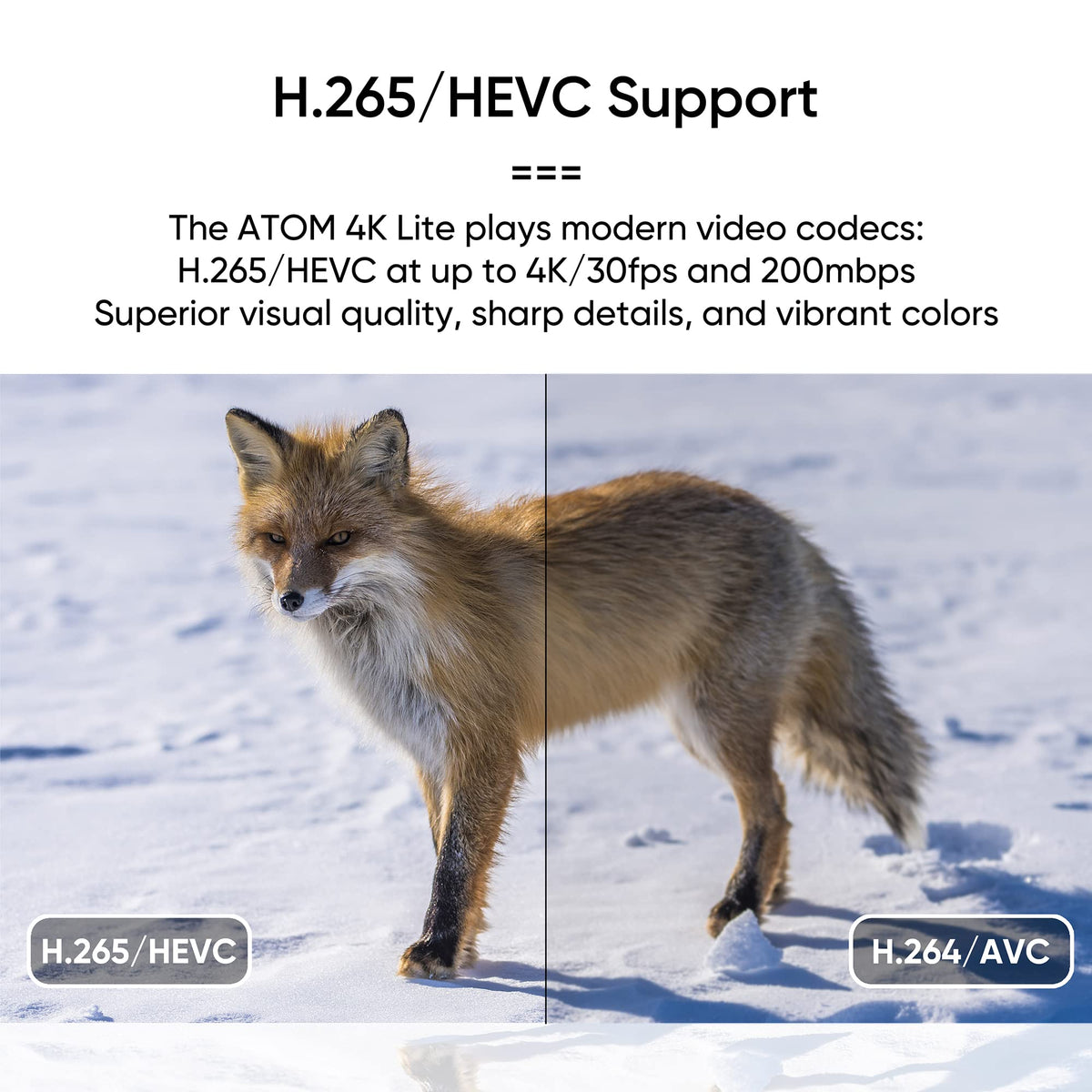4K Media Player for USB Drives and SD Cards F329