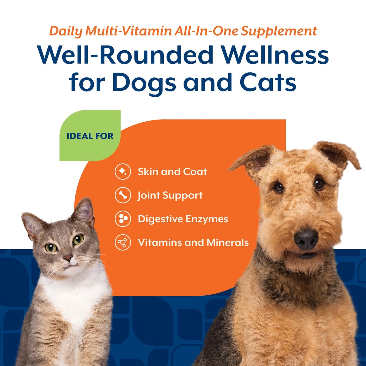 Cat & Dog Daily Multivitamin 13 Oz Powder N377