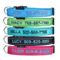 Personalized Dog Collar, 4 Adjustable Sizes Quick Release Buckle and D-Ring W7272