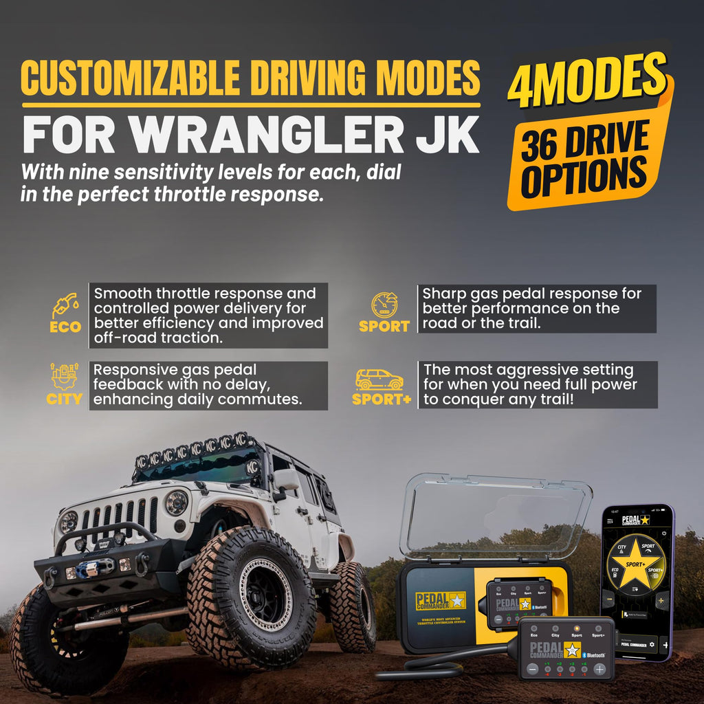 Throttle Response Controller I70073