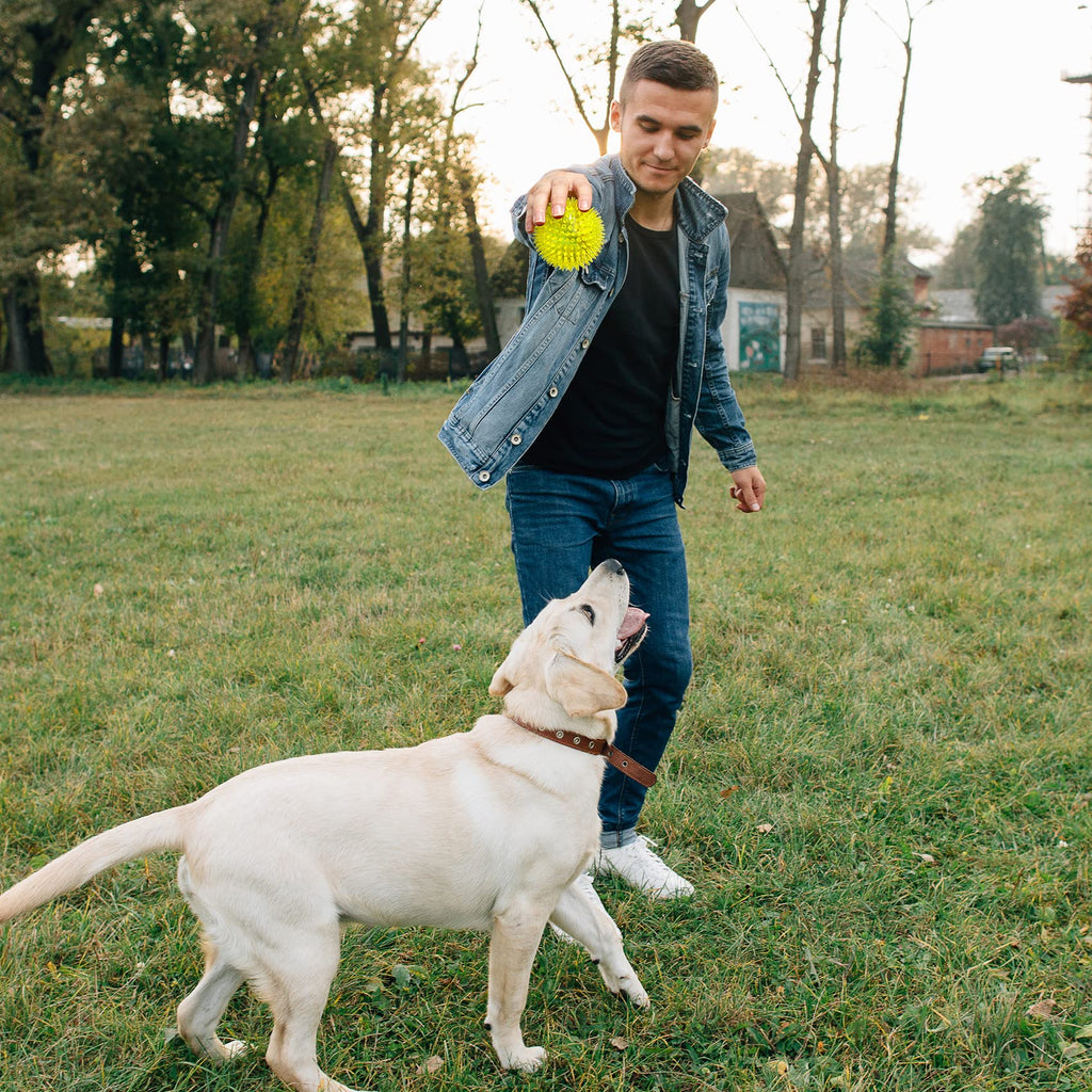 Squeaky Dog Toy Balls BPA Free Non-Toxic L23718